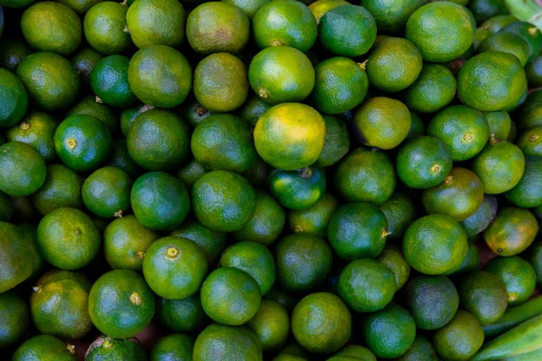 Close-up of Philippine limes.