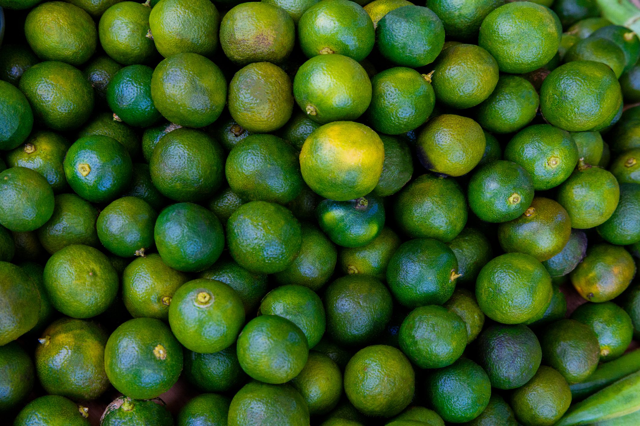 Close-up of Philippine limes.